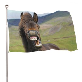 Decorative House Flag Yard Banner Icelandic Horse Gives Big Smile on One Side Welcome Garden Flags Lawn Decor 24x3ft