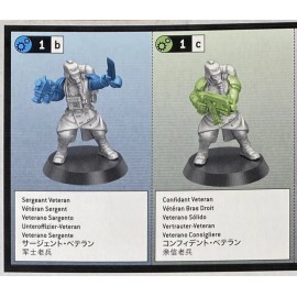 Games Workshop Sergeant Confidant Veteran Krieg Death Korps Kill Team Warhammer 40k - NoS (x1)