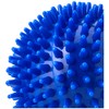 Performance Health Hard Spikey Massage Ball for Deep Tissue Massage,