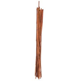 Green Thumb 89783GT Bamboo Garden Stake, 3-Ft., 24-Pk. - Quantity 6