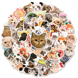 Funny Cat Sticker Set 50 Pieces Cute Decoration for Car Laptop Skateboard Bicycle Moped Motorcycle Bicycle Computer Suitable for Adults Children