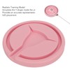 IUD Training Model Y Shape Inside Female Intrauterine Contraceptive Device