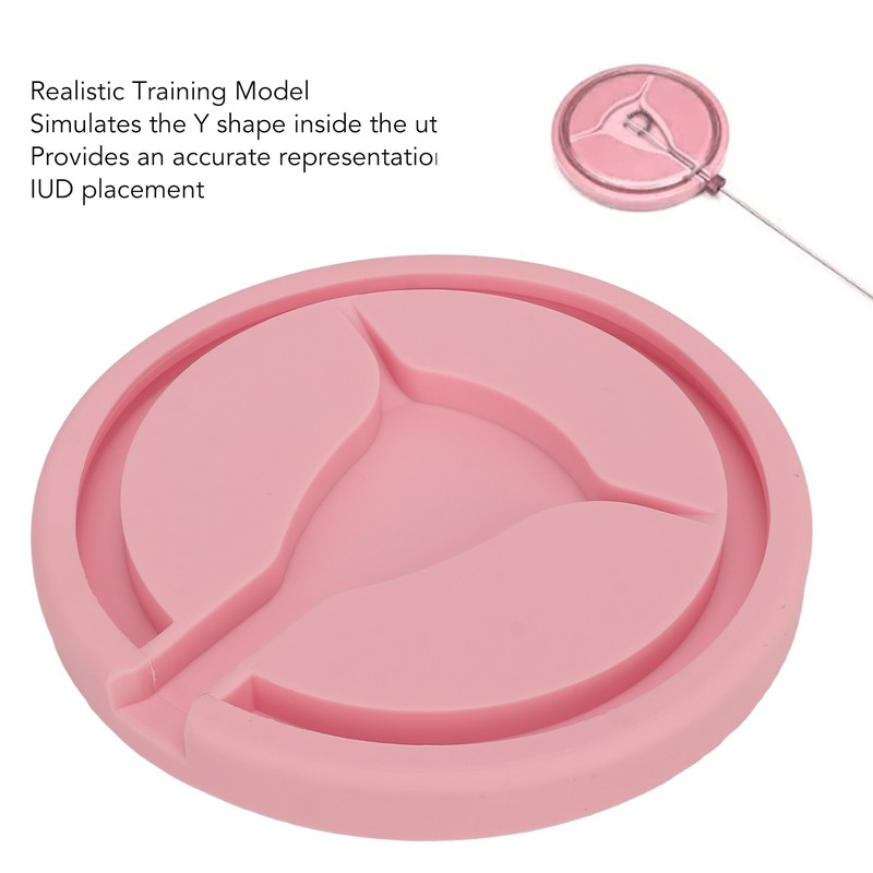 IUD Training Model Y Shape Inside Female Intrauterine Contraceptive Device