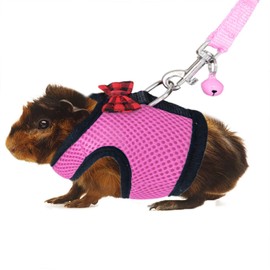 Rypet Ferret Harness and Leash - Soft Mesh Small Pet Harness with Safe Bell, No Pull Comfort Padded Vest for Guinea Pig, Hamster, Rats and Similar Small Animals