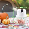 Luniquz Mini Garlic Chopper, Cordless Electric Garlic Slicer, 300ML GLASS