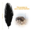 Crenze 10pcs Black Ostrich Feathers 12-14inch(30-35cm) for Home Wedding Decoration