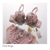 Mon cher pigeon BCDEF Monchel Pigeon Wolf Rules Bra and