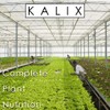 KALIX Nitrogen 15-0-0 | Water-Soluble Nitrogen Fertilizer | Promotes Vigorous