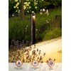 LEONLITE Low Voltage Landscape Lights 5CCT, 5W Anti-Glare LED Pathway