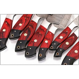GladiatorsGuild G16Red- Professional Kitchen Knives Custom Made Damascus Steel pcs of Professional Utility Chef Kitchen Knife Set with Chopper/Cleaver Black Horn (at end) (8, Red)