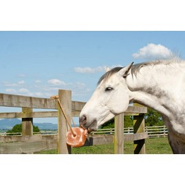 UMAID Himalayan Salt Lick 6 lbs. on Rope for Horses, Deer, Goats, Cow, Sheep, Cattle, Alpacas, and Livestock – Mineral Horse Treats, Natural Himalayan Rock Salt Block for Deer and Horses, 4 Pack