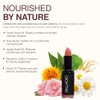 Palladio Labial mate, labial mate de larga duración, cremoso y