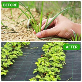 UNIFAMILY 4 x 25 Ft Landscape Fabric Heavy Duty,Barrier Fabric with Planting Holes, Garden Ground Cover Fabric, Garden Sheets Planting Fabric, Gardening Fabric