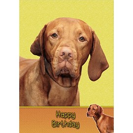 Vizsla Birthday Card
