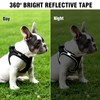Breathable Cat Harness Set, Dogs Escape Proof Reflective Harness, Permanently
