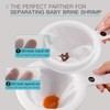 AIMALL 3PCS Dual-Mesh Baby Brine Shrimp Sieve Set, 80 &