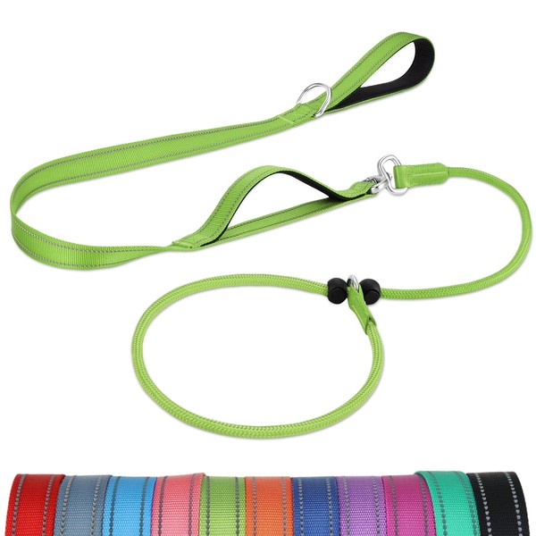 Joytale Double Handle Slip Lead with Pull Stop, 1.8 m