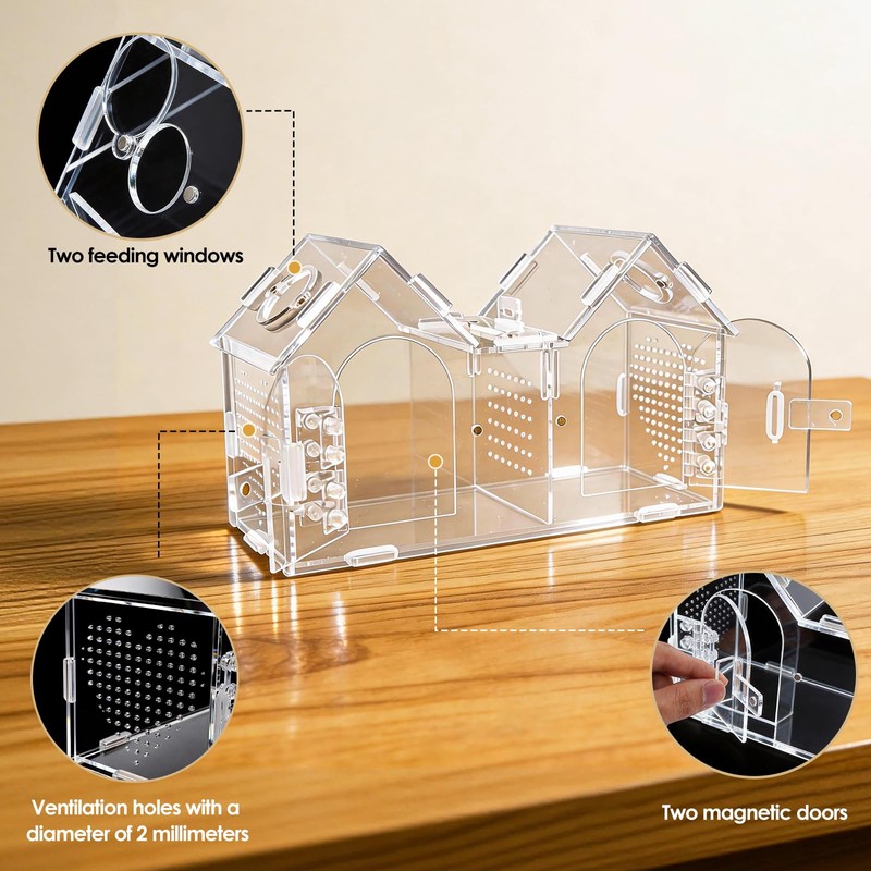 Jumping Spider Enclosure, Acrylic Terrarium with Partition Divider (1-2 Compartments),