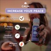 MEND + CALM Combo 12-Pack | DEJ x JB Collab