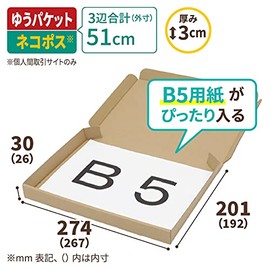 Earth Cardboard, ID0672 Cardboard Box for Nekopos, 1.2 inches (3 cm) Thick, B5, 10 Sheets, Cardboard, Nekoposu, 1.2 inches (3 cm), Box, Small Size