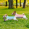 Kuoser Dog Cooling Vest Breathable Mesh Sun Protection Shirt for