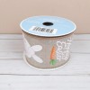 Celebrate It Easter Wired Decorative Ribbon Glitter Bunny Carrot 2.5
