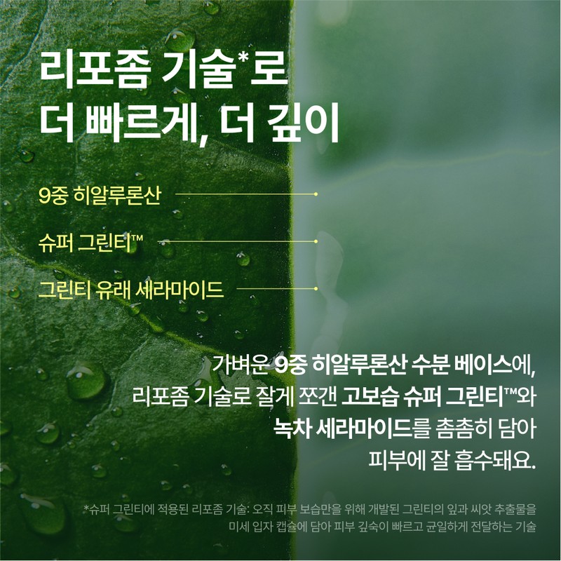 Innisfree [이니스프리]그린티 세라마이드 밀크 에센스 리필 [Innisfree] Green Tea Ceramide