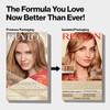 Revlon Colorsilk Color Effects Frost and Glow Highlights, Honey, 1