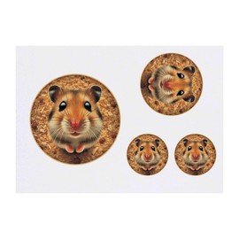 4 x 'Cute Hamster' Temporary Tattoos - Water Resistant, Skin-Safe, Non-Toxic Transfers, Mixed Sizes (TO00081792)
