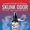 The Stink Solution AutoOdor Eliminating Spray Midnight Scent - 2