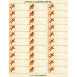 Great Papers! Fall Leaves 30-Up Address Label, 4 sheets/120 labels, 1" x 2.625" (2017004)