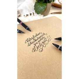 Schneider One Sign 183603 Rollerball Pen Indelible Line Width 1 mm Blue Pack of 10