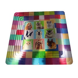 WorldaWhirl Whirligig 3D Wind Spinner Cat Dog Combo Colorful Square Yard Twister Home Decor Stainless Steel (12 Inch)