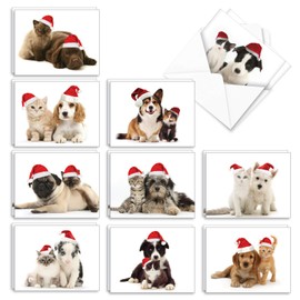 The Best Card Company - 20 Blank Christmas Note Cards (10 Designs, 2 Each) - Bulk Holiday Notecard Set (4 x 5.12 Inch) - Christmas Copy Cats AM6596XSB-B2x10