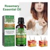 Aceite Esencial De Romero Para El Crecimiento Del Cabello