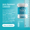 Flora Fusion Dr. Miller's TUDCA with Milk Thistle Extract, 1000mg