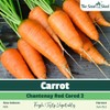 Carrot Chantenay Red Cored 2 Seeds – Heirloom Variety for