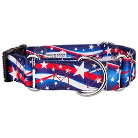 Country Brook Petz - Star Spangled Martingale with Deluxe Buckle - Americana Collection Featuring Patriotic Designs (1 1/2 Inch, Extra Large)