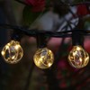 Plugtec String Lights, Festoon Lights, Waterproof String Lights with 8