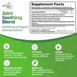 True Moringa Plus+ Joint Support Supplement 10:1 Extract | 20,000mg of Organic Moringa, Turmeric Curcumin, Ginger, Boswellia, BioPerine | Extra Strength Herbal Antioxidant for Adults (150 Capsules)