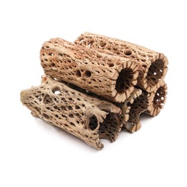 My Pet Patrol 3 to 48 Inch All Natural Teddy Bear Cholla Wood Extra Hollow Large Untreated Organic Aquarium Driftwood Decoration Chew Toy Shrimp Crab Multi-Quantity (5 Pieces, 6 inch)