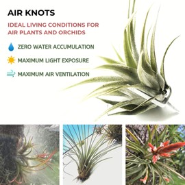 Wall Planter Set of 3 Wall Air Plant Holder Wall Terrarium| Orchid Mount Airplant Holder Air Plant Containers| Hanging Orchid Planter| Wall Mounted Plant Hook| Wall Plant Mount for Tree Air Knots G3