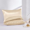 Moonlight Bedding Satin Pillowcases 2 Pack - Champagne Silk Pillowcase