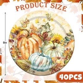 JarThenaAMCS 40Pcs Fall Paper Plates Retro Pumpkin Disposable Plates 9 Inch Farmhouse Decorative Dinner Plates for Autumn Thanksgiving Harvest Party Supplies