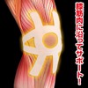 サイプラス 歩行らーく ズレない膝サポーター 曲げても膝密着 伸縮性が高い 薄手 歩行筋力サポーター
