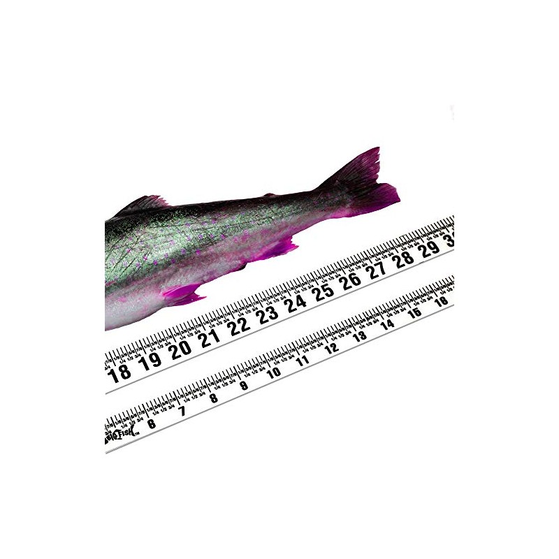 Oregon Rule Co. Big Fish Adhesive Backed Rules – 20