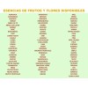 La Perfumm 10 Esencias Aromáticas De 20ml Aceite Aromaterapia Difusor