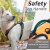 Eagloo Dog Harness No Pull, Walking Pet Harness with 2