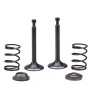 BMP Intake Exhaust Valve Spring Set For Ryobi RY903600 3600