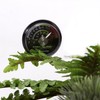 REPTI ZOO Reptile Terrarium Thermometer,Dial Gauges Pet Rearing Box Thermometer